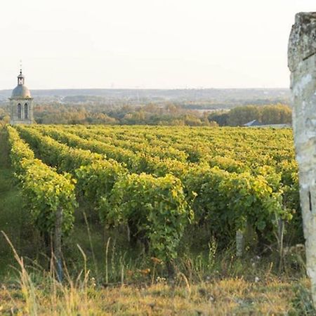 Studio Au Coeur Des Vignes Leilighet Montlouis-sur-Loire Eksteriør bilde
