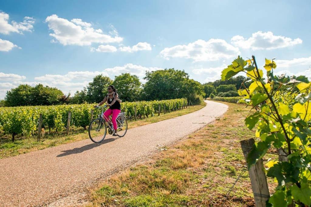 Studio Au Coeur Des Vignes Leilighet Montlouis-sur-Loire Eksteriør bilde