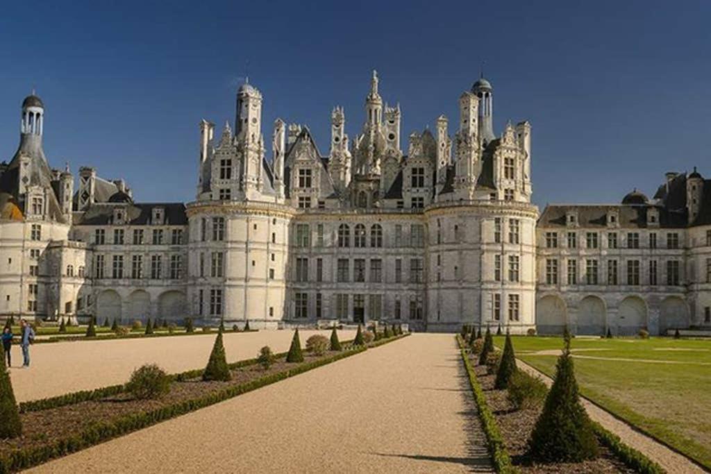 Studio Au Coeur Des Vignes Leilighet Montlouis-sur-Loire Eksteriør bilde